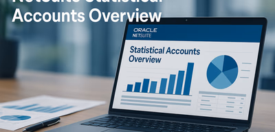 NetSuite Statistical Accounts: Overview, Role, and Function