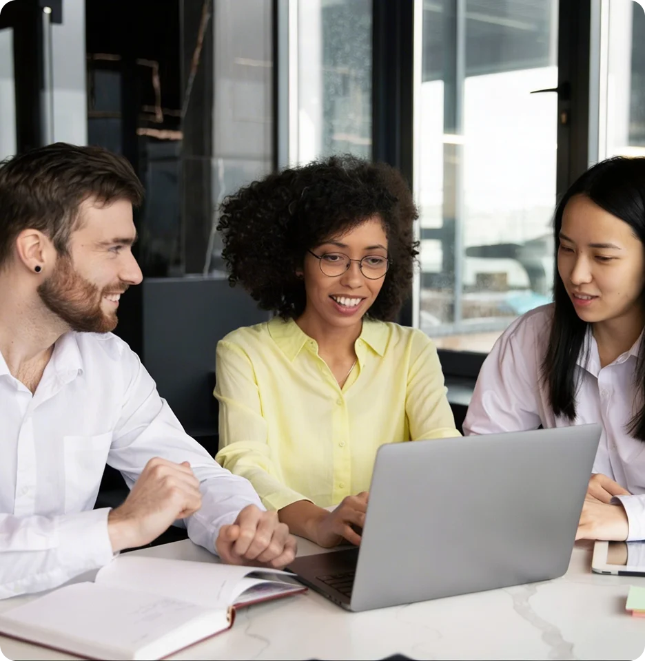 NetSuite Rescue Services